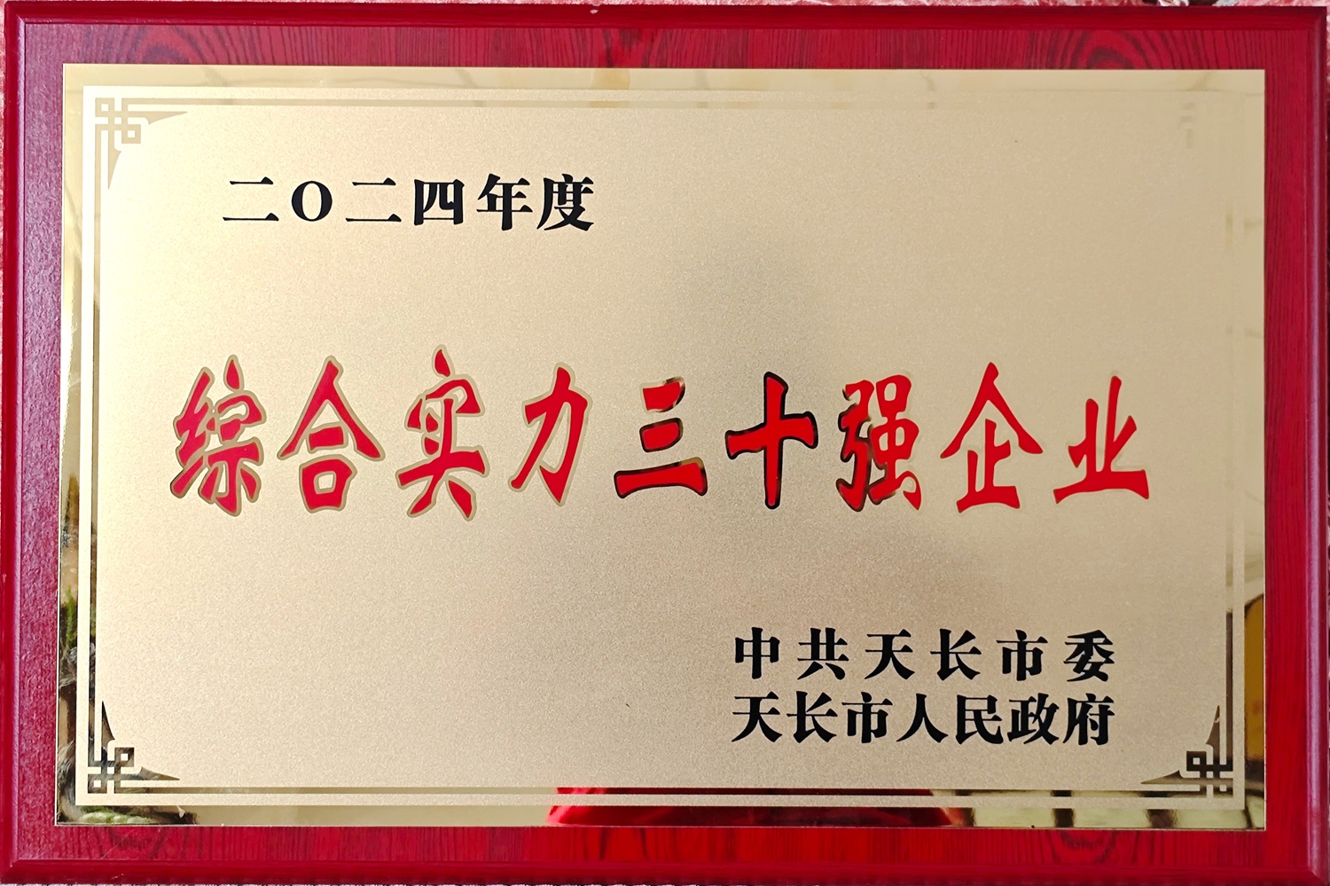 天長市綜合實(shí)力30強(qiáng)企業(yè)_副本.jpg